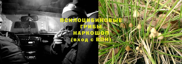 ПСИЛОЦИБИНОВЫЕ ГРИБЫ Алексеевка