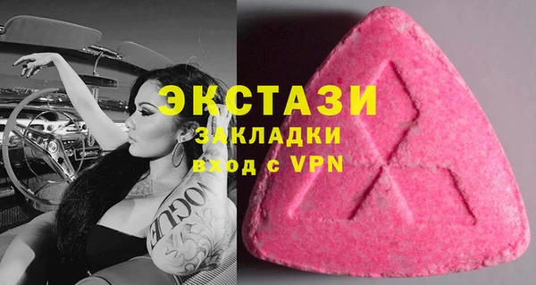 ешки Алексин