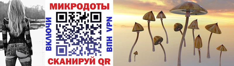 Псилоцибиновые грибы мухоморы  где продают   darknet телеграм  Малаховка 